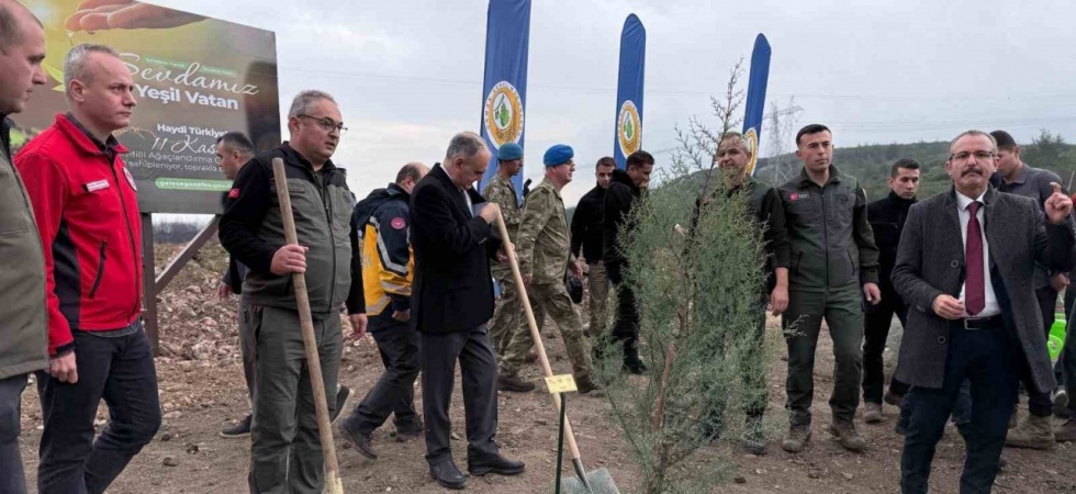 Manisa’da 2025 sonuna kadar 3,1 milyon fidan toprakla buluşacak