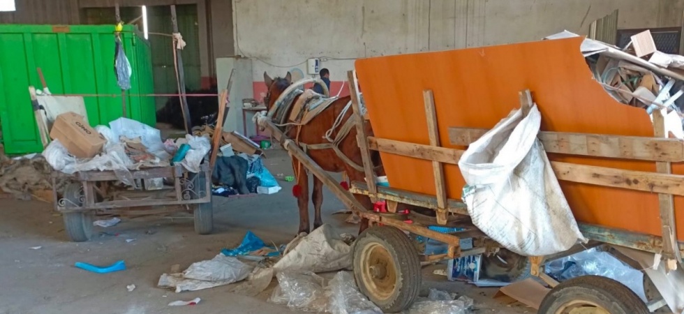 Manisa’da at arabası operasyonu: İki at arabası trafikten men edildi