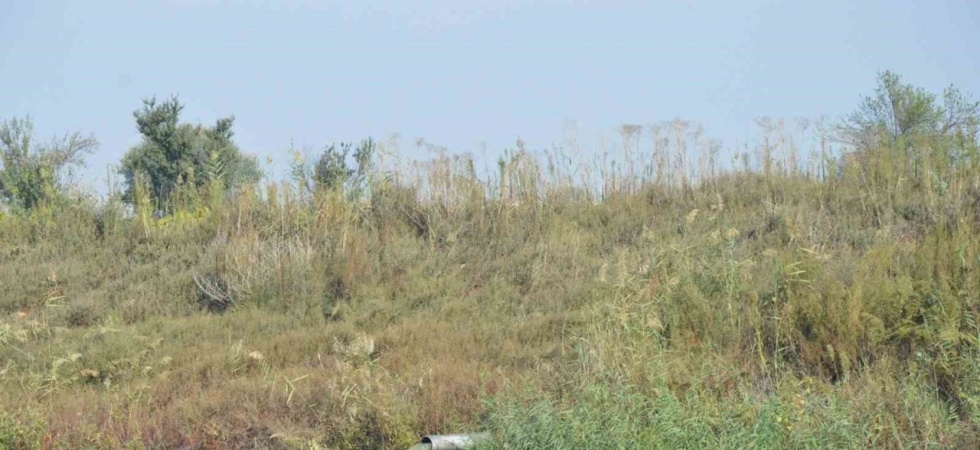 Manisa’da çevreyi kirletenlere 132 milyonluk ceza