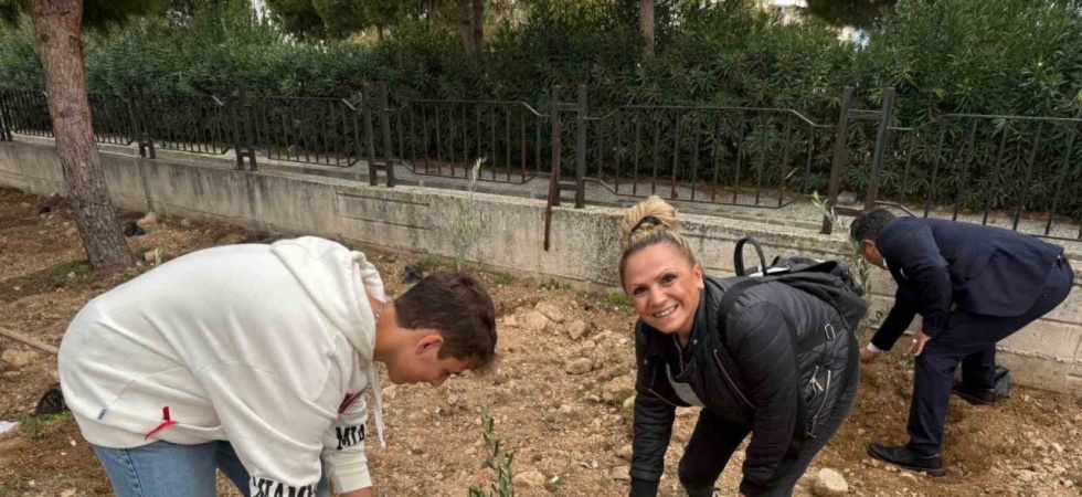Okul bahçesine 60 zeytin fidanı dikildi