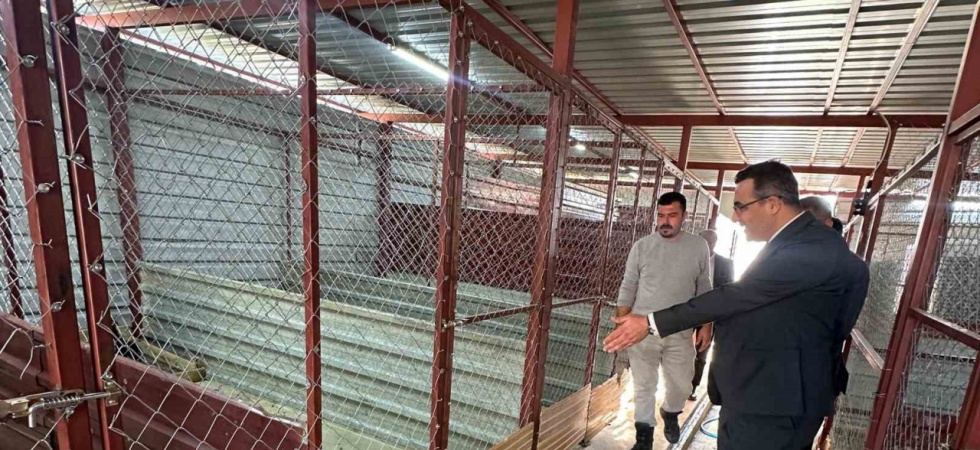 Sarıgöl’de hayvan bakım hizmetlerine yakın takip