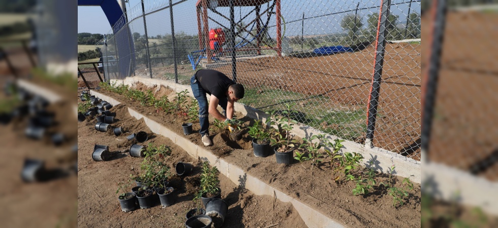Turgutlu Belediyesi Park ve Bahçeler Müdürlüğü Ekipleri Yoğun Çalışma İçerisinde