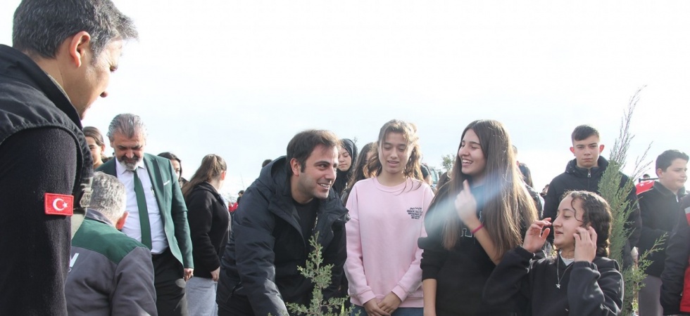 Yangında küle dönen ormanlık alanda fidan diktiler