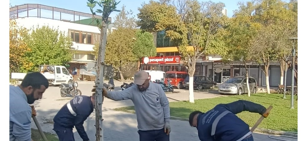 YUNUSEMRE’DE AĞAÇLANDIRMA ÇALIŞMALARI SÜRÜYOR