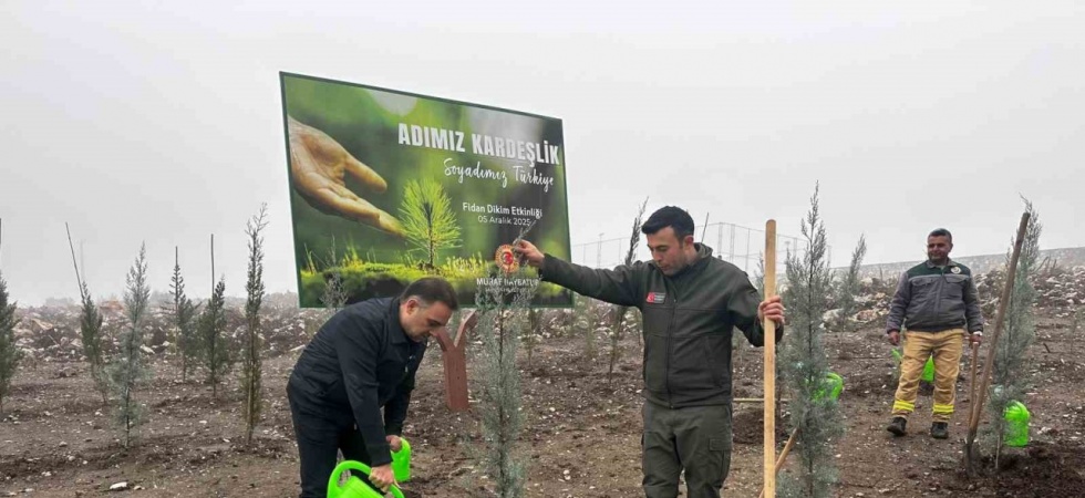 Baybatur’dan yanan orman alanlarına bin fidan