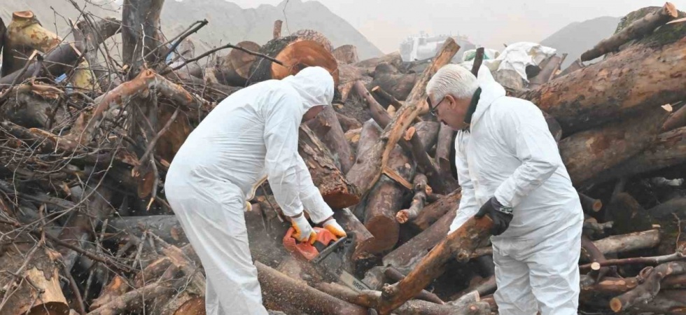 Budanan ağaç dalları ihtiyaç sahiplerini ısıtıyor