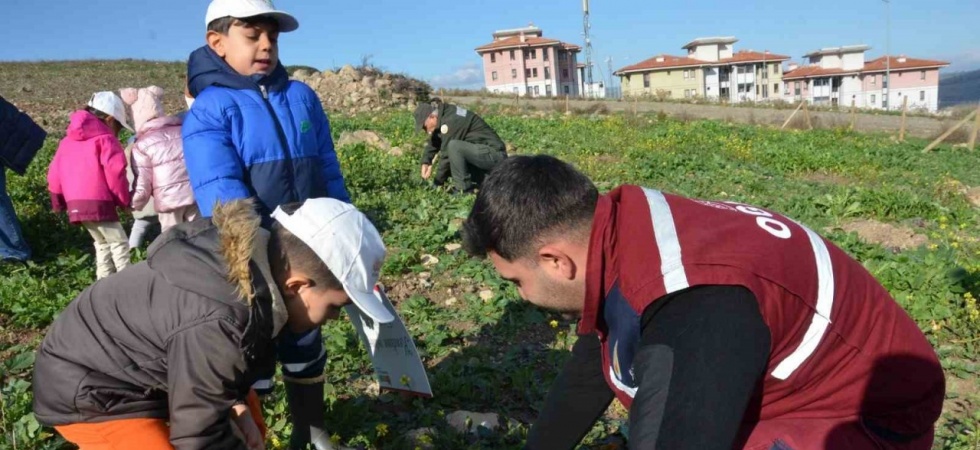 Manisa’da yanan alanlara 100 bininci fidan dikildi