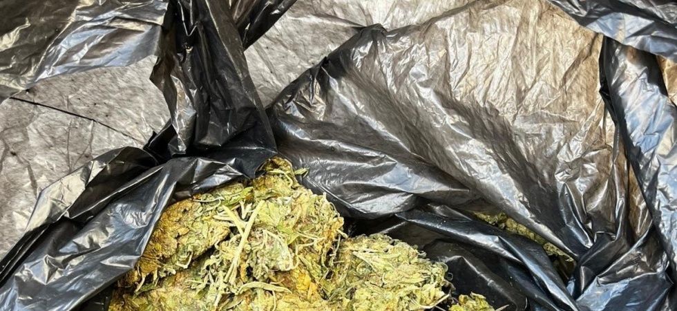 Şüpheli araçtan 50 gram esrar çıktı