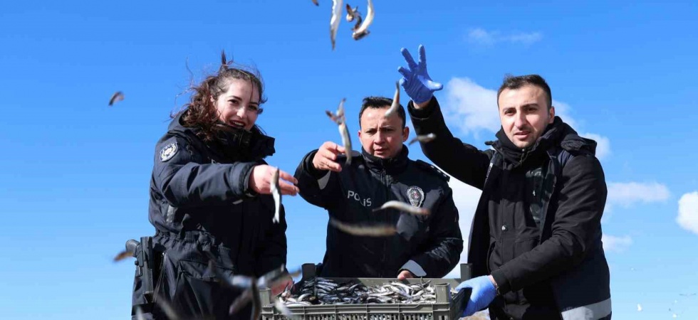 Doğu’nun gizli denizinde şefkat eli: Polis ekipleri martı ve tavşanları unutmadı
