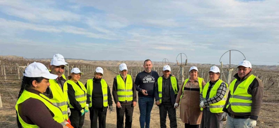 Sarıgöllü ziraat mühendisi Azerbaycan’da bağ budama tekniklerini öğretti