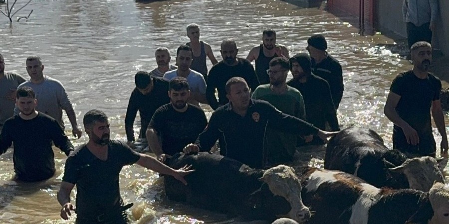 Taşan Gediz Nehri dolayısıyla mahsur kalan 44 kişi ve 127 hayvan kurtarıldı