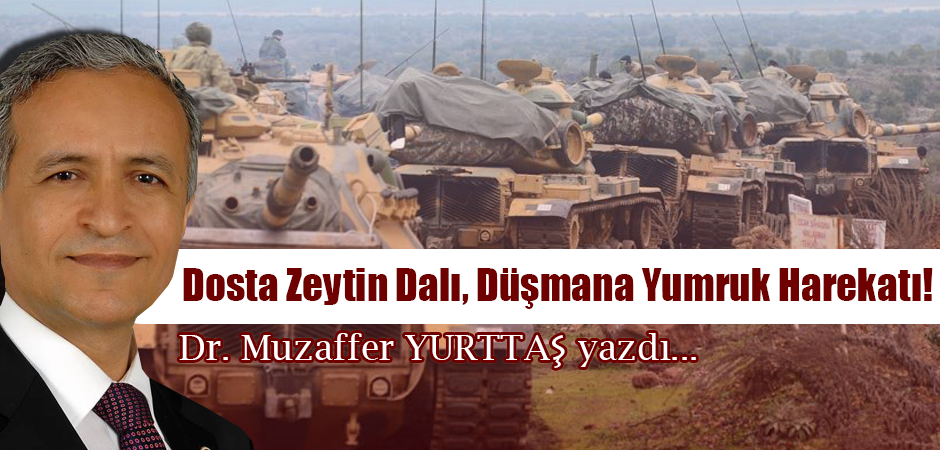 Dosta Zeytin Dalı, Düşmana Yumruk Harekatı!