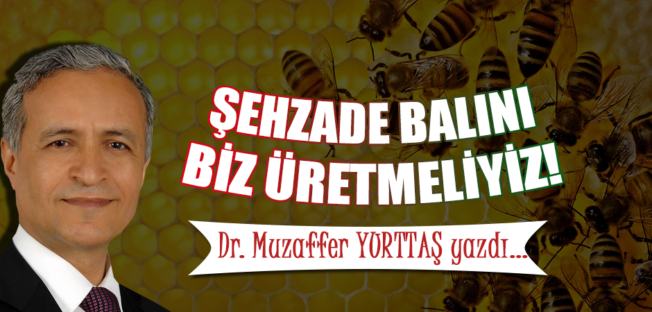 ŞEHZADE BALINI BİZ ÜRETMELİYİZ!