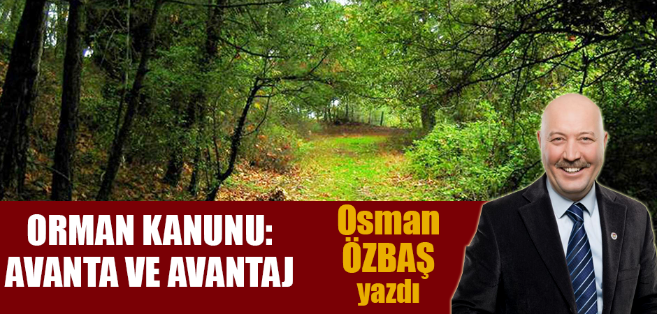 ORMAN KANUNU: AVANTA VE AVANTAJ