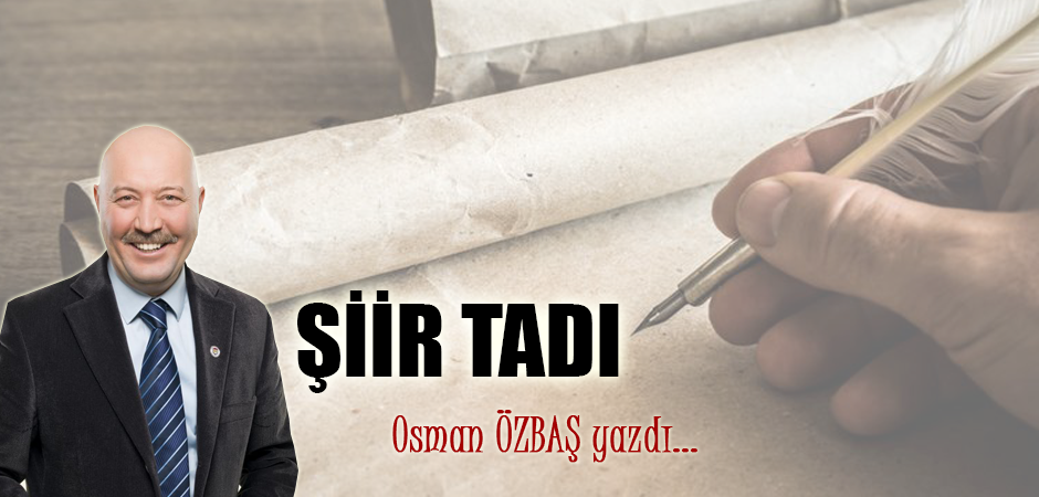 ŞİİR TADI