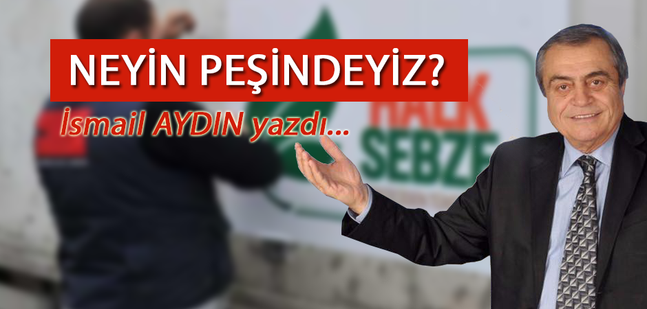 NEYİN PEŞİNDEYİZ?