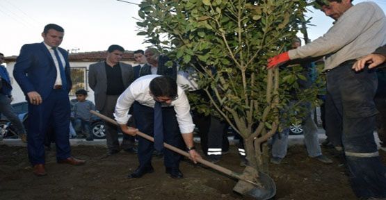 Başkan Çelik Ağaçları Ve Parkı Çocuklara Emanet Etti