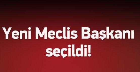 Meclis'in yeni başkanı belli oldu!