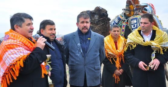 Tanrıverdi:''Deve Güreşlerini Yaşatmalıyız''