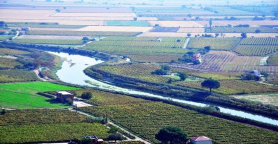 Tarımsal Poliçe Rekoru Manisa'da Kırıldı