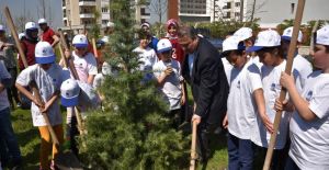 Başkan Çerçi minik bahçıvanlarla fidan dikti