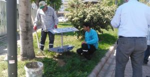 Alaşehir Belediyesi sokak hayvanlarını unutmadı