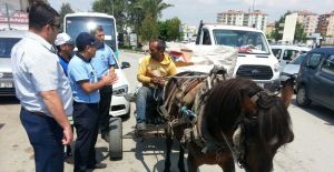 Trafiği tehlikeye atan at arabalarına zabıta ’dur’ dedi