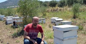 Manisa’da 3 milyon arı telef oldu