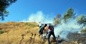 Ot yangını ormana sıçramadan söndürüldü