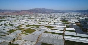 (Özel haber) Sarı altın beyaz gelinlik giydi