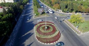 Kasımpatılar Manisa’yı Renklendirdi