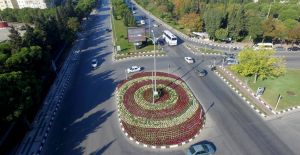 Kasımpatılar Manisa’yı Renklendirdi