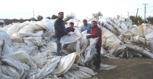 Bağ Örtüleri Geri Dönüşüme Kazandırılıyor