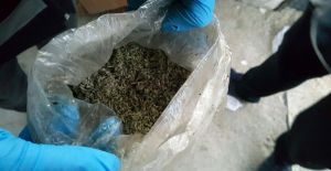 Manisa'da uyuşturucu operasyonu: 5 gözaltı
