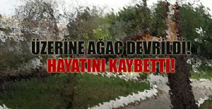 Üzerine Ağaç Devrilen Şahıs Hayatını Kaybetti!