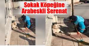 Sokak Köpeğine Arabeskli Serenat