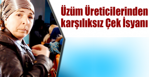 Üzüm Üreticilerinden karşılıksız Çek İsyanı