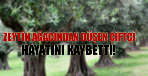 Zeytin ağacından düşen çiftçi hayatını kaybetti