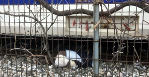 Manisa'da Tren Kazası: 1 Ölü