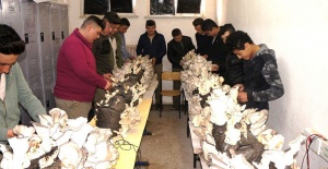 Okula Destek İçin Mantar Yetiştiriyorlar