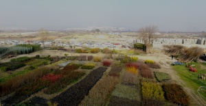 Yunusemre'de bahar hazırlıkları sürüyor