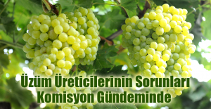 ÜZÜM ÜRETİCİLERİNİN SORUNLARI KOMİSYON GÜNDEMİNDE