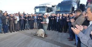 Yardım kömürleri Soma'dan gidecek