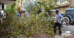 Şiddetli Rüzgar Manisa'da Hasara Yol Açtı