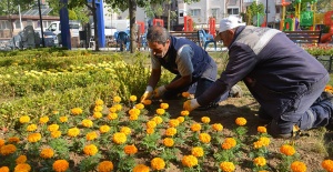Şehzadeler 157 bin çiçekle renkleniyor