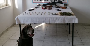 Jandarmadan narko köpekli uyuşturucu operasyonu: 5 gözaltı