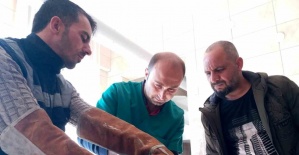 Manisa’da yaralı kızıl şahin tedavi altına alındı