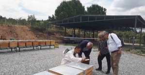 Ana Arı Üretim Merkezinde üretilen...