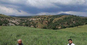 Çiftçiler, büyükşehirin projesinden...