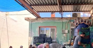 Sarıgöl’de taze yaprak alımları hız kazandı